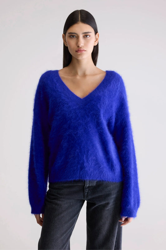 DATHE OVERSIZED TRUI DELPHINIUM