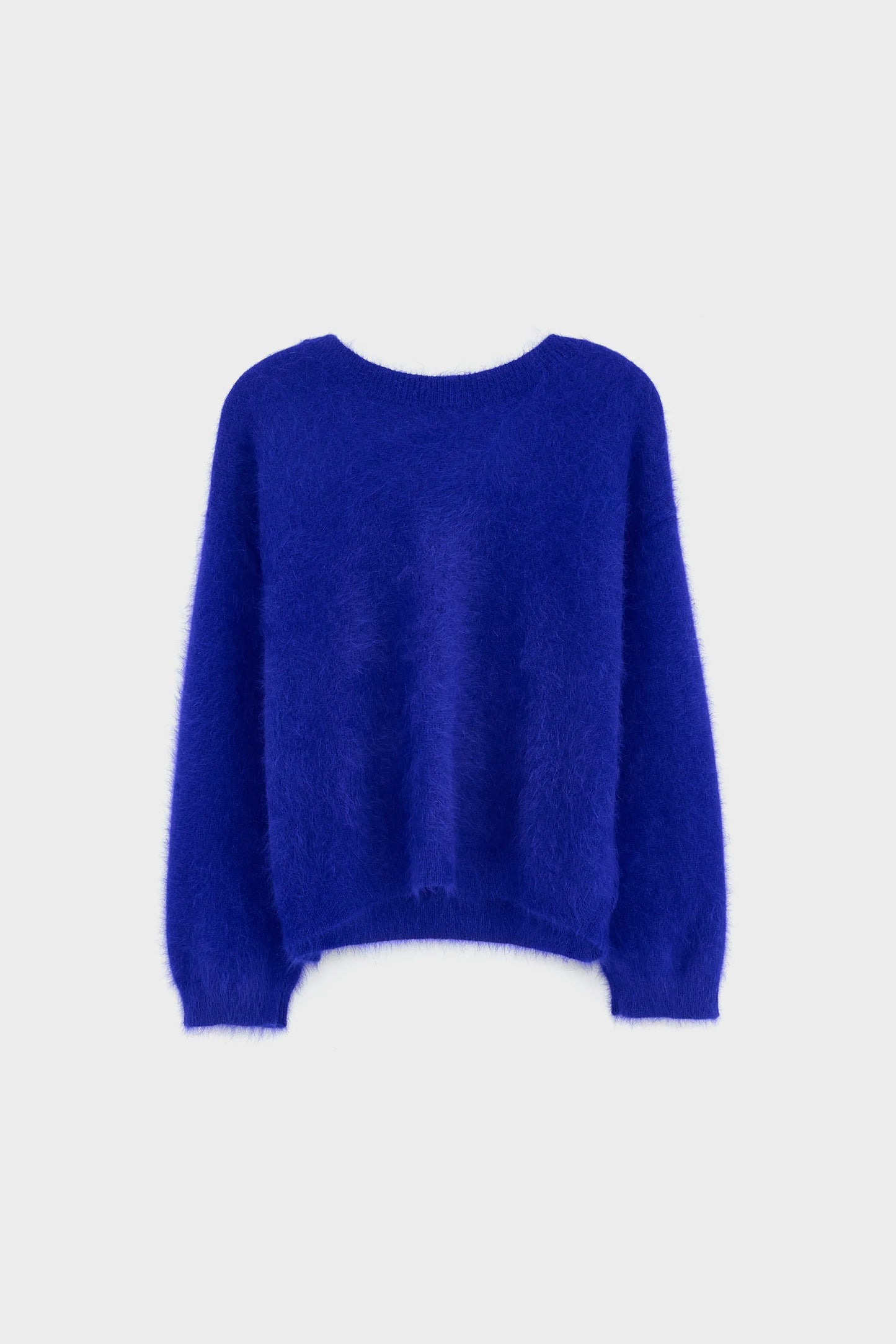 DATHE OVERSIZED TRUI DELPHINIUM