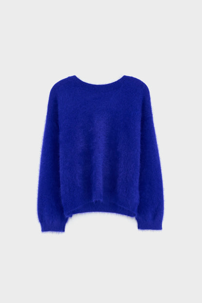 DATHE OVERSIZED TRUI DELPHINIUM